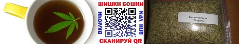 магазин продажи   Белая Холуница  Canna-Cookies марихуана 