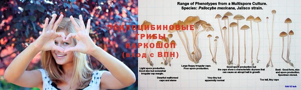 крисы Киреевск