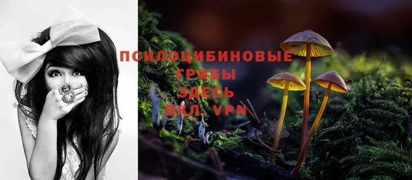 гидропоника Киренск