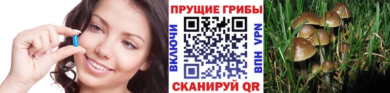 Галлюциногенные грибы Magic Shrooms  мега ССЫЛКА  Белая Холуница 