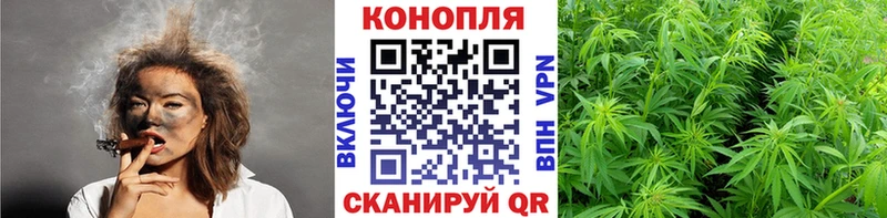 Конопля план  сайты даркнета клад  Белая Холуница  гидра маркетплейс 